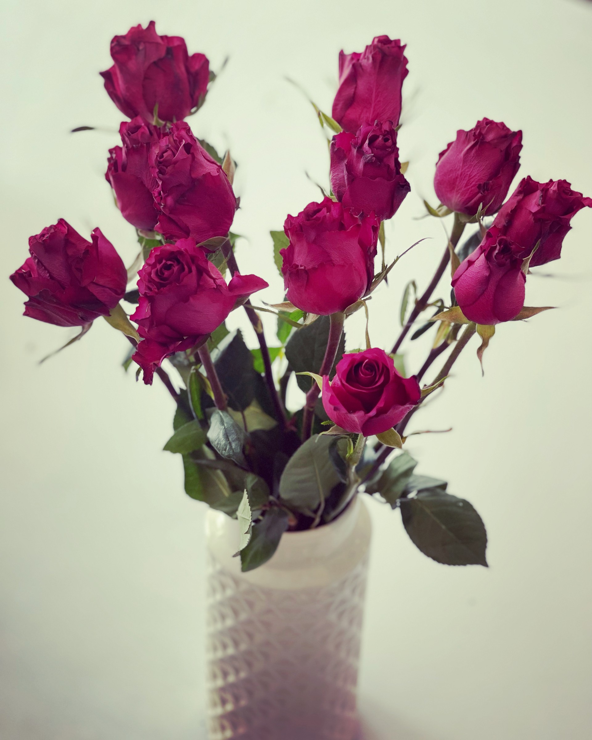 thumbnail_6E8682FB-C5EA-48A3-A5AA-71AA0A0EC888
